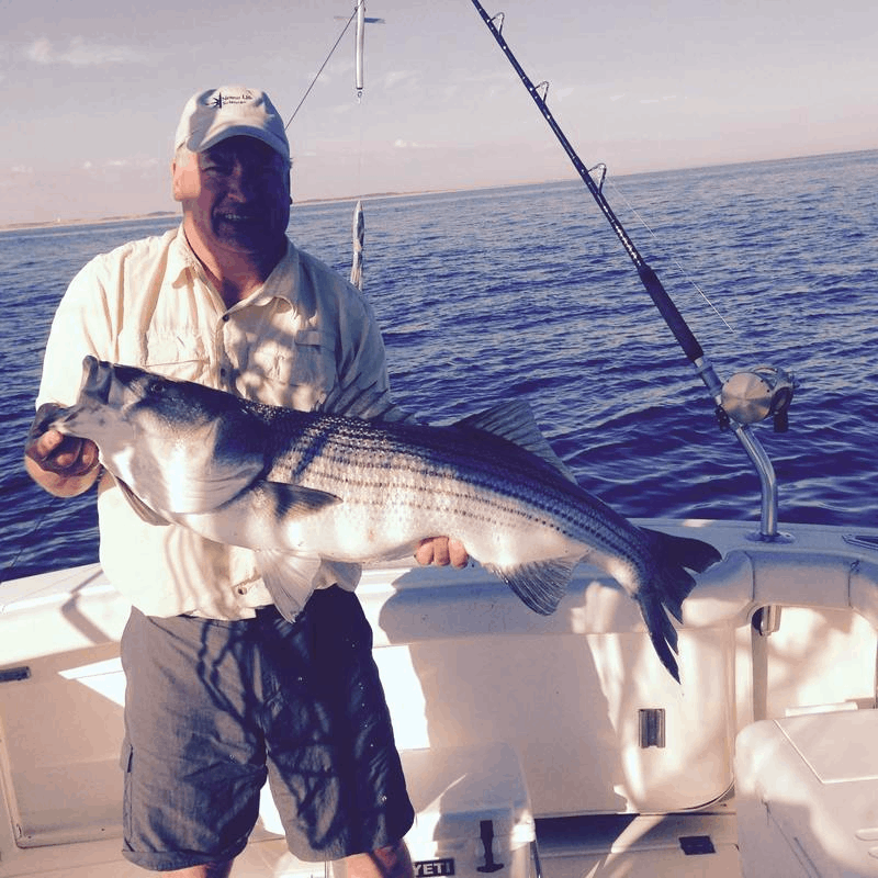 Cape Cod Striped Bass Fishing